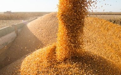 Россия ударила по хранилищу с зерном в порту Одессы