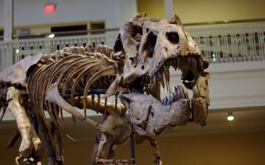 Ученые доказали, что динозавры не мигрировали зимой от холодной погоды