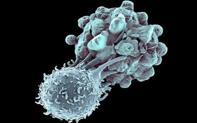 На Западе заявили о начале революции в лечении рака