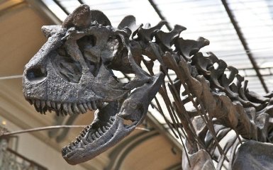 Вчені розкрили одну з загадок динозаврів - що цікаво знати
