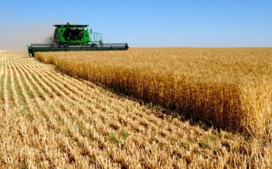 Український агросектор