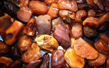 СБУ провела спецоперацию против скупщиков янтаря: появилось эффектное видео