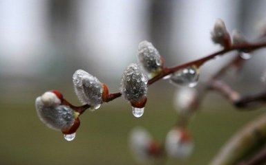 На Украину надвигается дождливый циклон: синоптики предупредили об ухудшении погоды