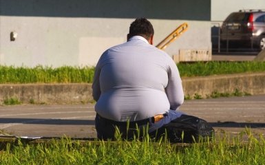 Японские ученые обнаружили новую причину ожирения