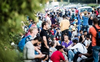 Количество заявлений в полицию Кельна превысило 500