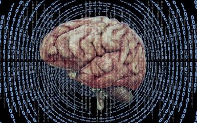 США дозволили компанії Neuralink Ілона Маска тестувати мозкові чипи на людях