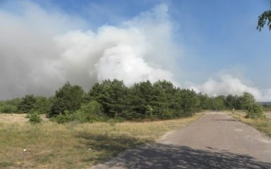 Масштабна пожежа під Чорнобилем: з'явилися фото і нові подробиці