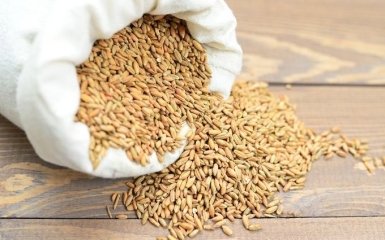 Польша угрожает ввести бессрочное эмбарго на экспорт украинского зерна