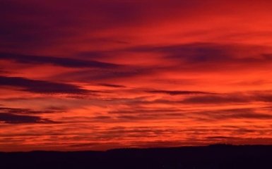 В Аргентині на вулиці розлили тисячі літрів крові - що там відбувається