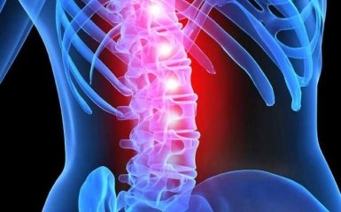 Стовбурові клітини здатні відновлювати пошкоджений спинний мозок - вчені