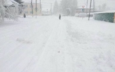 Одещину накрила снігова стихія: з'явилися фото і відео