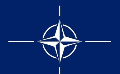 В Раді розповіли, хто зірвав надання Україні плану дій щодо членства в НАТО