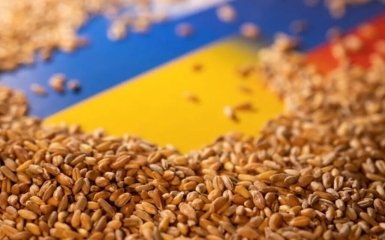 The EU will strengthen control over the export of Ukrainian grain