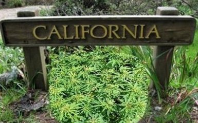 Легализация марихуаны в США развеселила соцсети