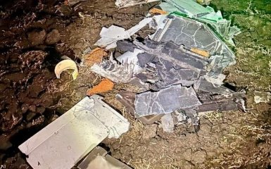 На юге Украины пограничники уничтожили 3 дрона-камикадзе — фото