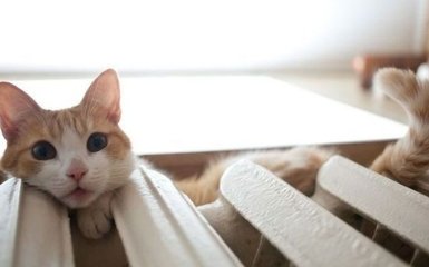 У Львові через похолодання відновили опалювальний сезон