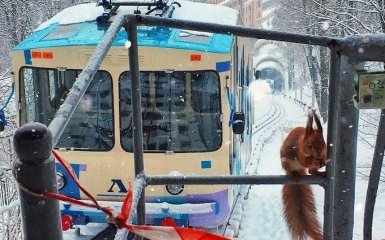 Київ засипало снігом: користувачі мережі публікують яскраві фото