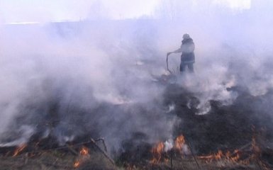 Радіація підвищена в десятки разів: що відбувається в палаючій від вогню Чорнобильській зоні
