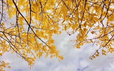 4 вересня – яке сьогодні свято в Україні