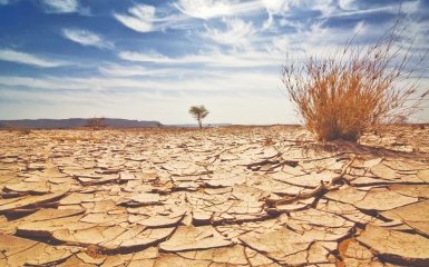 Последствия изменений климата