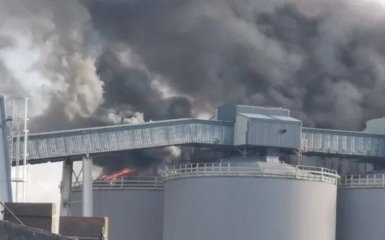 У Франції спалахнула пожежа у зернових терміналах — відео