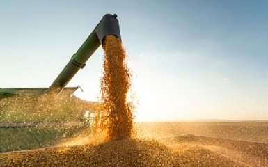РФ вывозит украденное украинское зерно в Турцию – "Схемы"