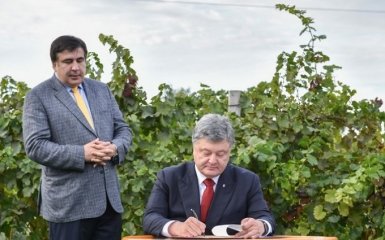 Саакашвили приблизил перевыборы, а у Порошенко есть запасной вариант - политолог