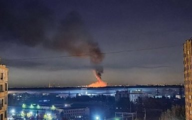 Бавовна в России