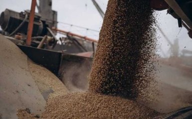 ЕС планирует предоставлять субсидии странам, через которые транспортируется украинское зерно