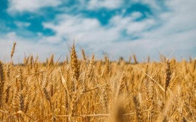 Зернову угоду продовжено на 120 днів — Мінінфраструктури України