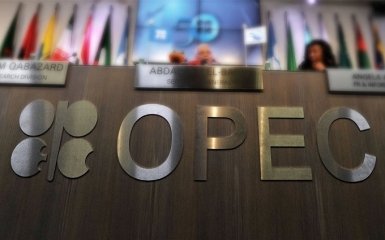 Россию не пригласили на важную встречу в Алжире