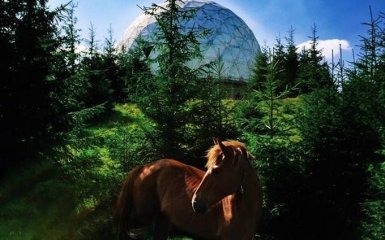 Фотограф показав всьому світу красу України в одному видовищному відео