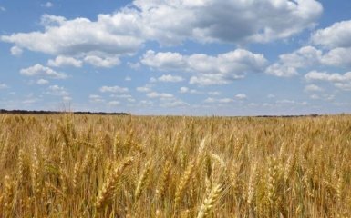 Нема чого боятися: у Зеленського зробили важливу заяву