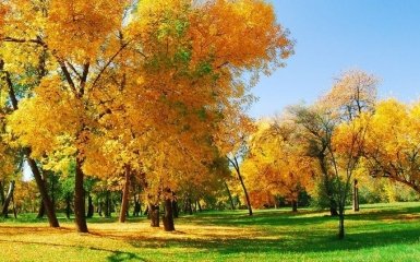 11 вересня – яке сьогодні свято в Україні