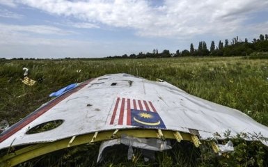 Катастрофа MH17: СМИ назвали имя ключевого фигуранта дела