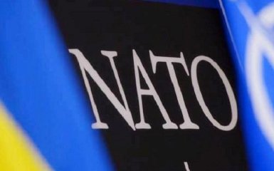 СМИ: у НАТО появился новый серьезный противник - и это не Россия