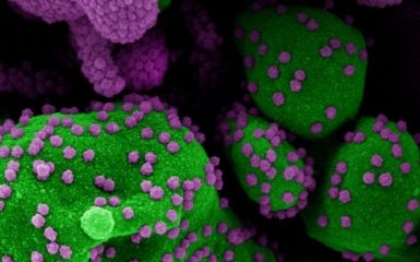 Ситуація стає гіршою - ВООЗ терміново застерегла Україну