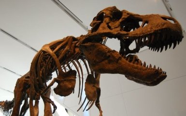 У Гарварді висунули нову теорію зникнення динозаврів