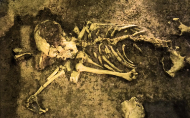 Нове сенсаційне відкриття вчених - що стало відомо