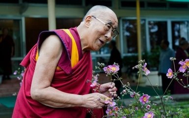 Молитв недостаточно: Далай-лама объяснил, как людям победить пандемию
