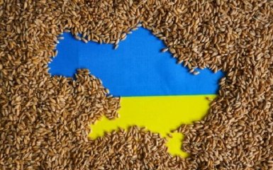 Россия снова заблокировала работу "зернового коридора" — что происходит