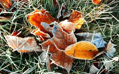 В Україні різко зміниться погода