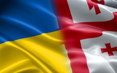 Грузия просит Украину защитить своего экс-президента