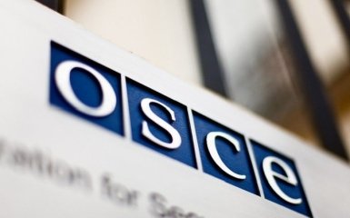 В ОБСЕ озвучили свое видение перемирия на Донбассе