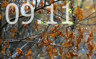 Прогноз погоды в Украине на 9 ноября