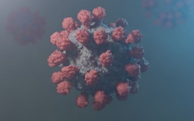 Розвідка США розділилася через дві версії походження коронавірусу