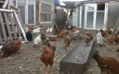 Знищили штаб ІДІЛ з курми: соцмережі сміються з падіння штурмовика в Росії