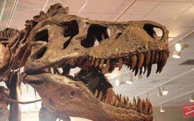 Учені підрахували точну кількість тиранозаврів до нашої ери