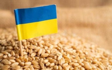 Конгресс США назвал количество украденного Россией украинского зерна