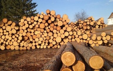 В ЕС объяснили, почему они хотят украинский лес